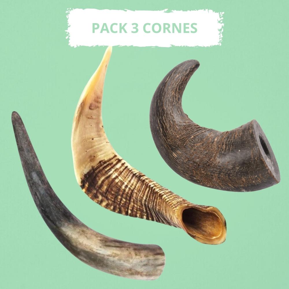 Pack Mastication 3 Cornes | Buffle, mouton, vache – Chien Heureux