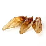 Oreilles de boeuf (sans poil)