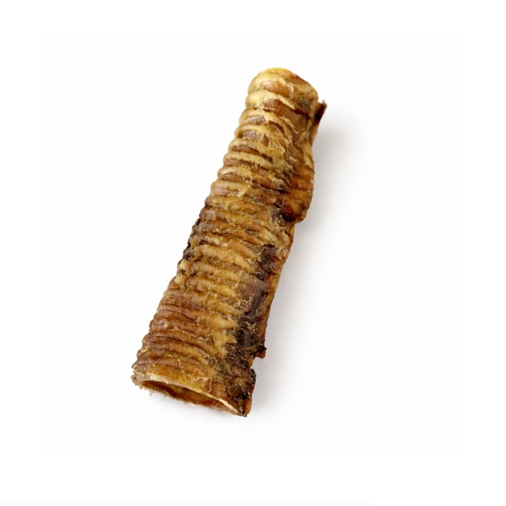 Trachée de boeuf 20cm