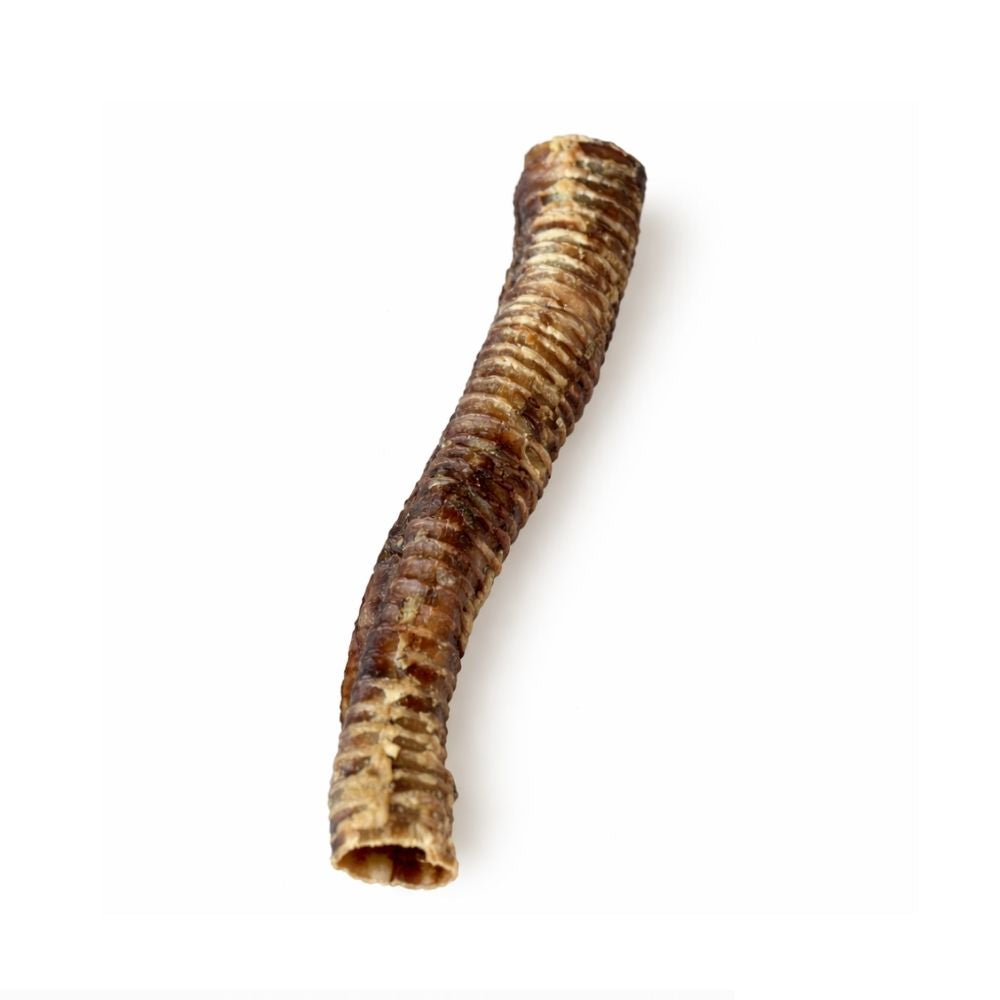 Trachée de boeuf XXL (40cm)