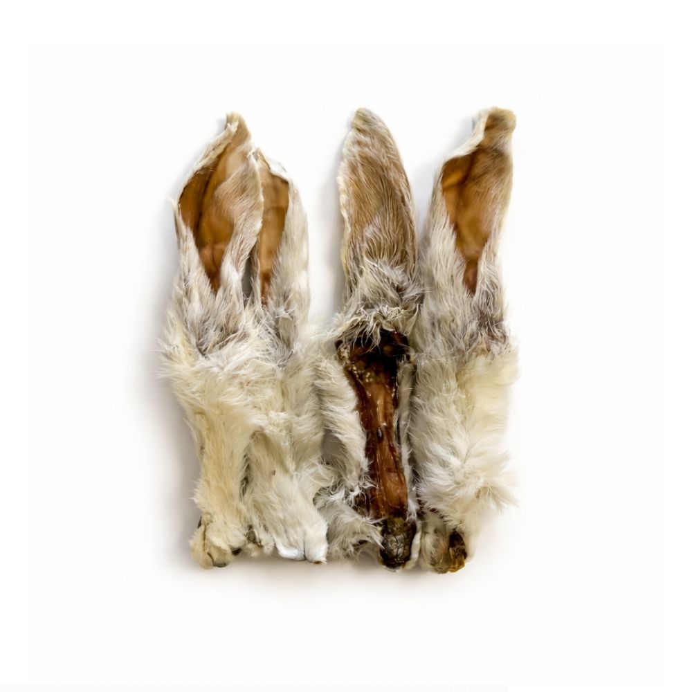 Oreilles de lapin (avec poils)