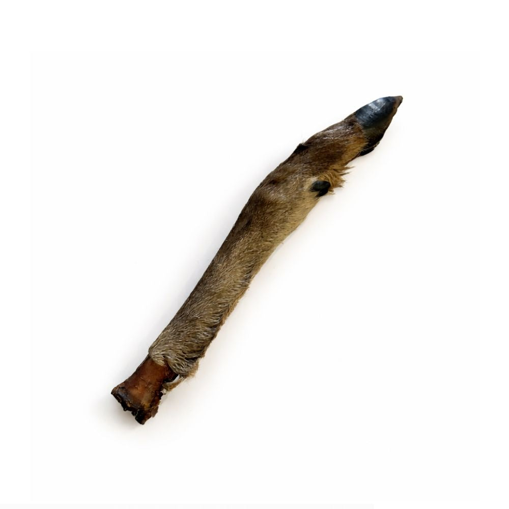 Patte de cerf