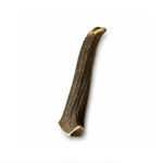 Bois de cerf entier