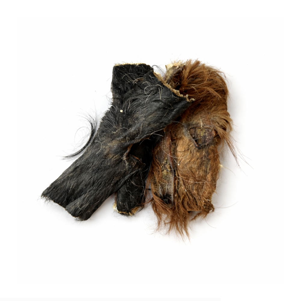 Peau de boeuf avec poils