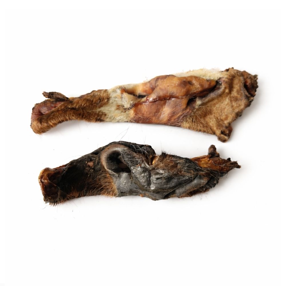 Museau de boeuf avec poils
