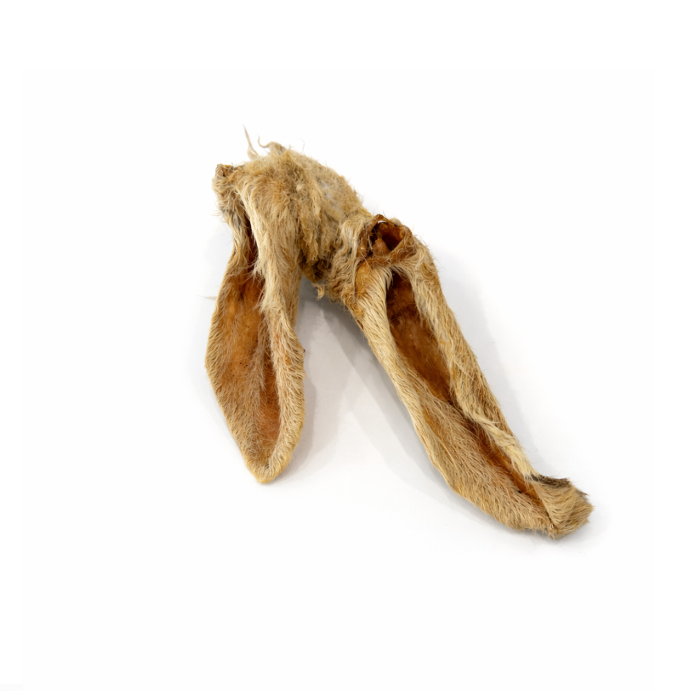 Oreille d'agneau avec poils (8-12cm)