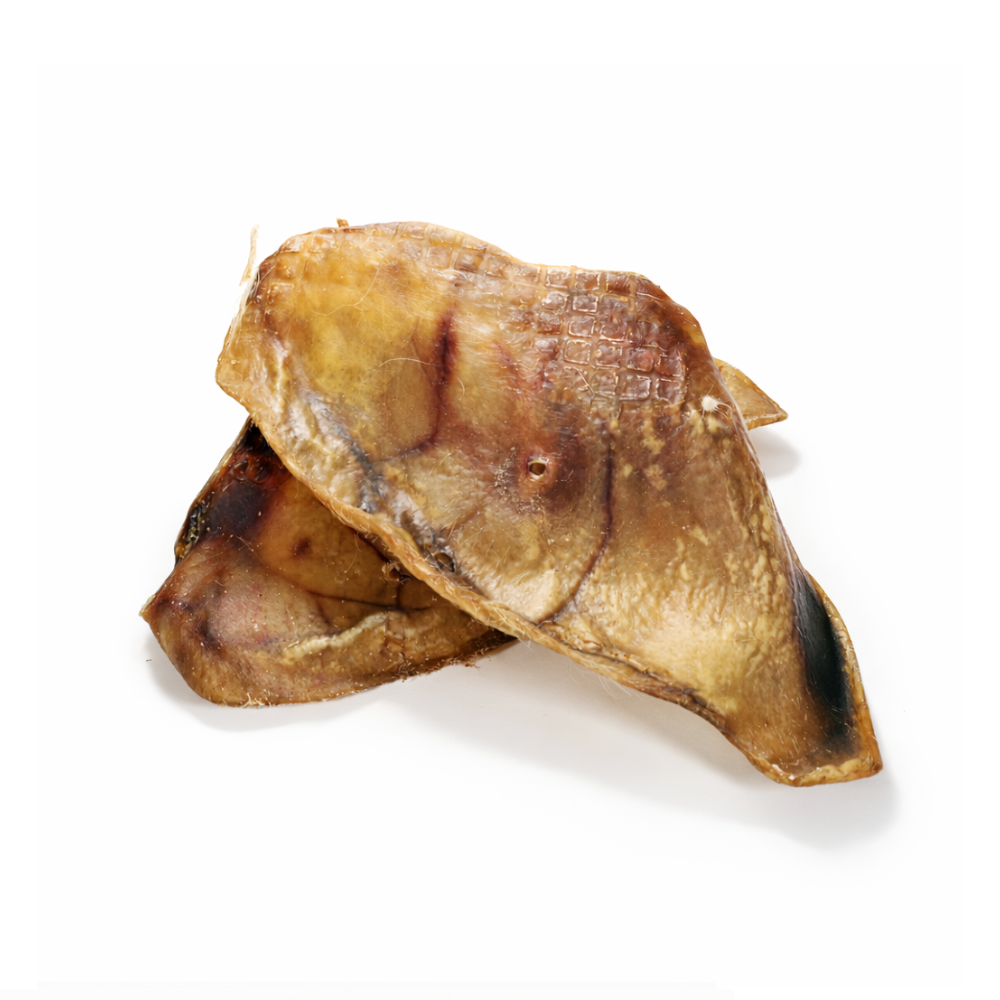 Oreilles de porc XXL (70g)