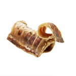 Trachée de boeuf (3-5 cm)