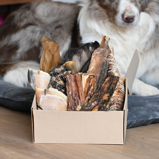 Pack Robustesse