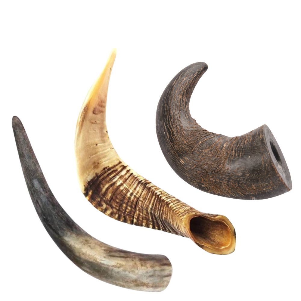 Pack Mastication 3 Cornes