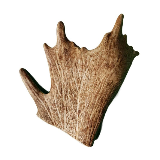 Bois de daim