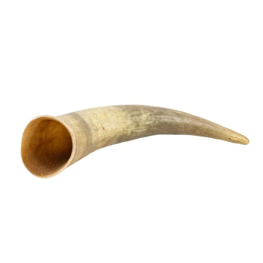 Corne de vache