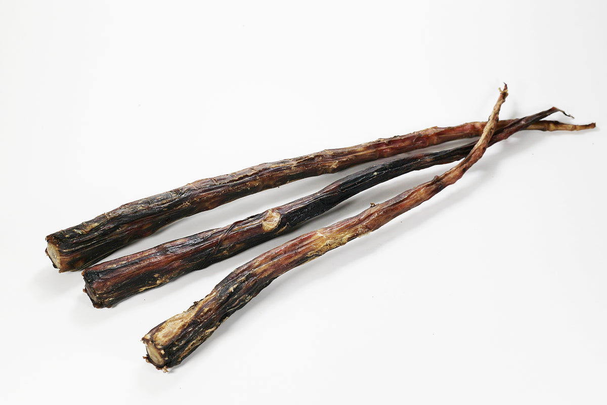 Queues de bœuf XXL sans peau 25-35 cm, friandise à mâcher naturelle pour grand chien.