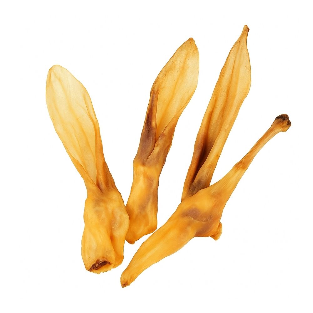 Oreilles de lapin sans poils