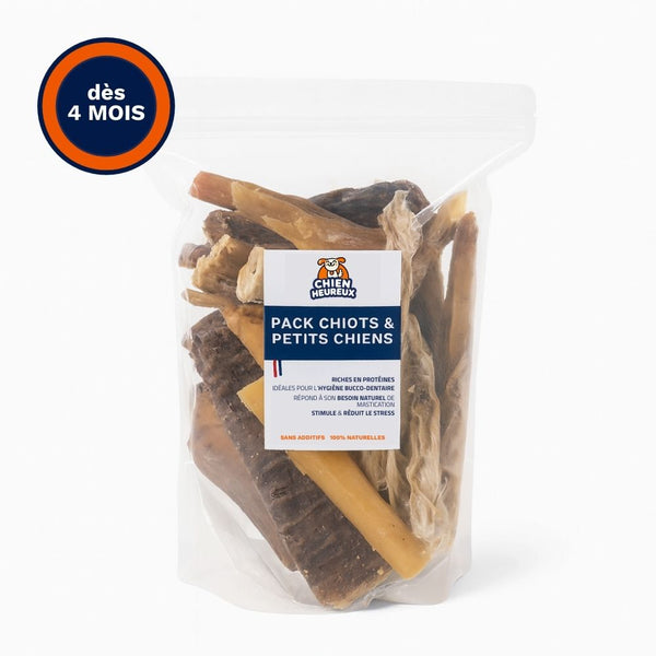 Pack Chiots et petits Chiens