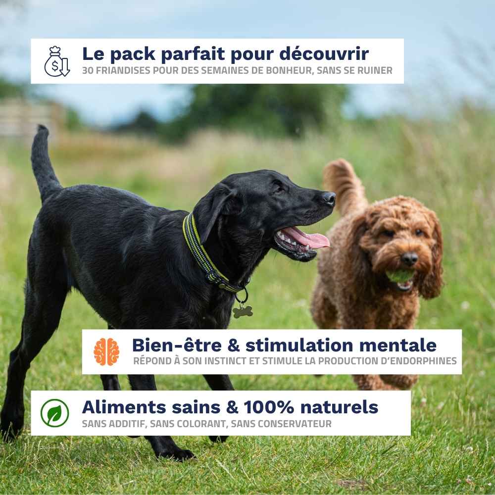 Pack Découverte (30 friandises)