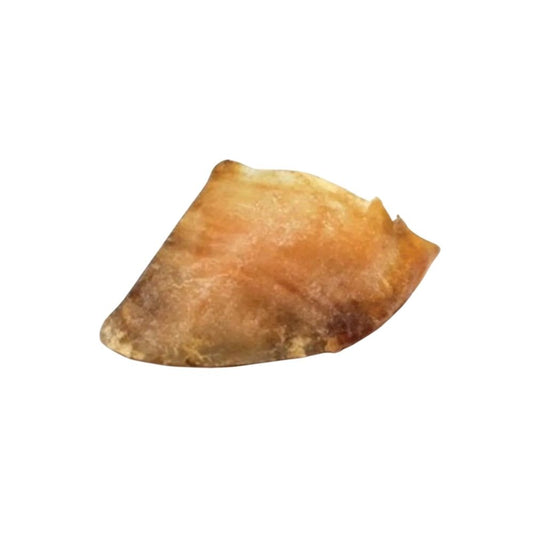 Sabots de boeuf (veau)