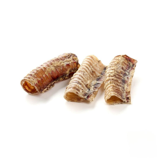 Trachée de boeuf courtes